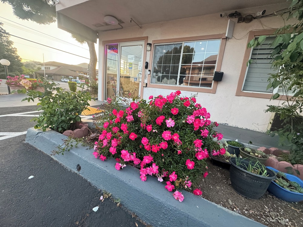Morganhill Inn Motel 10/51
