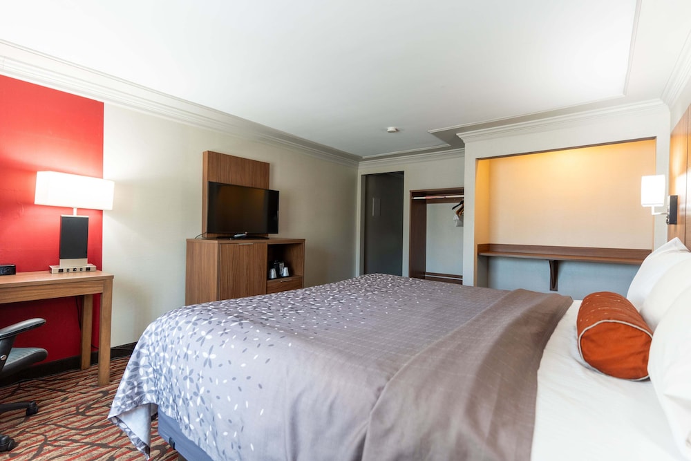 STANDARD, KING BED