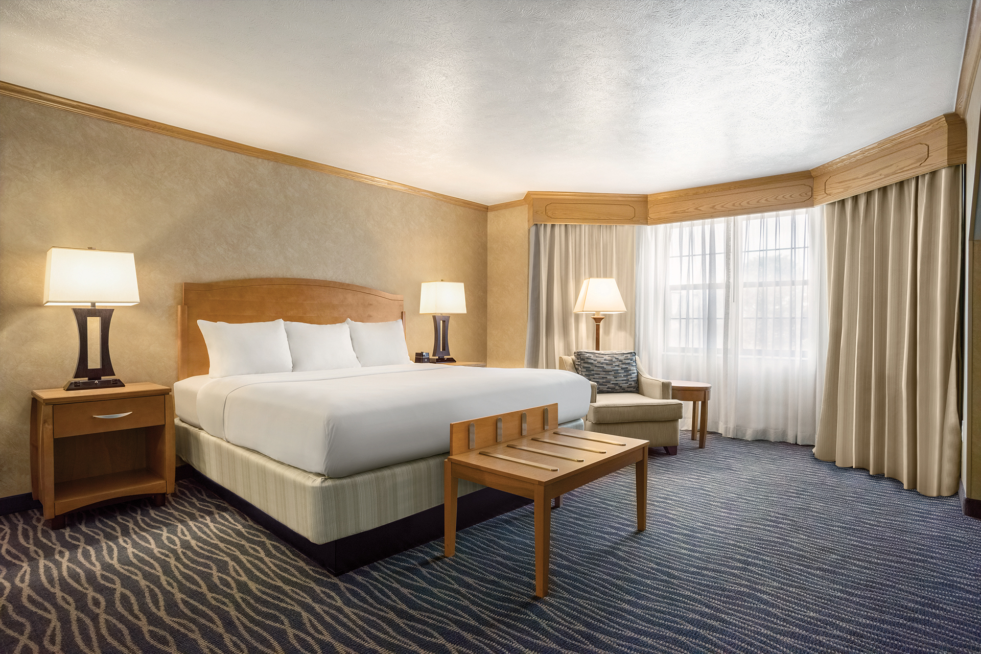 EFFICIENCY, SUITE, KING BED