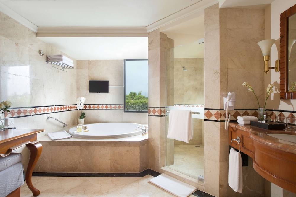 Hyatt Regency Yogyakarta 33/76