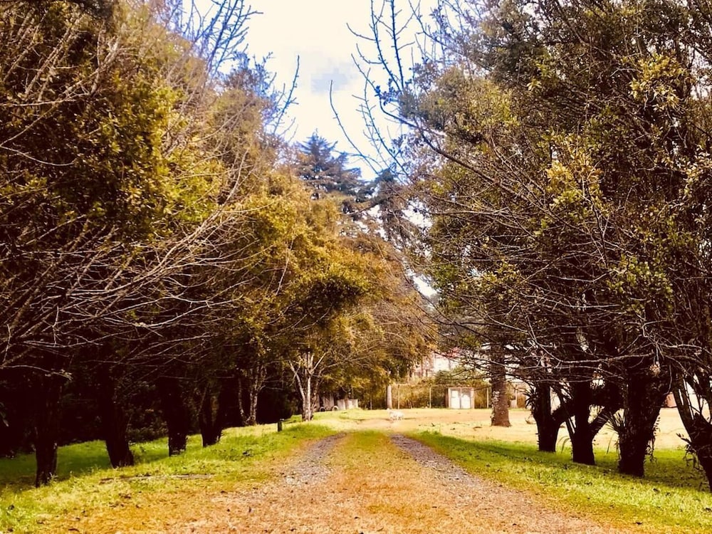 Hotel Platanus 39/48