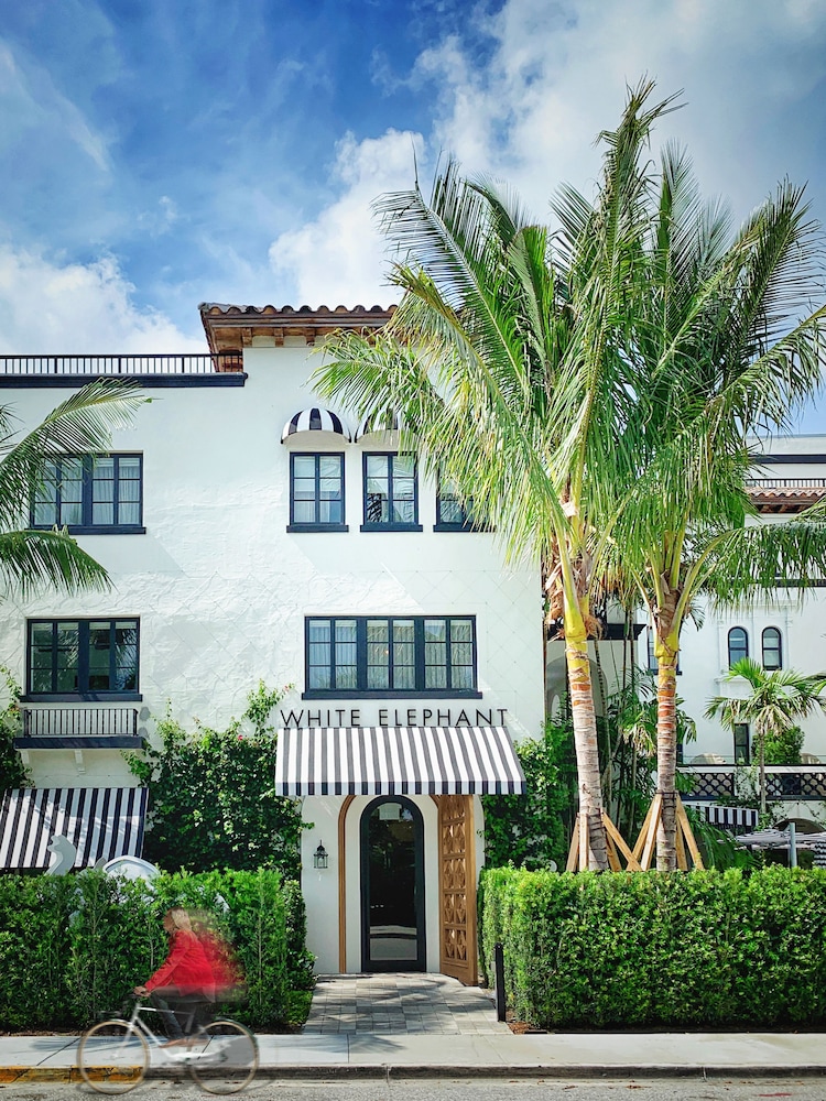 White Elephant Palm Beach 3/62