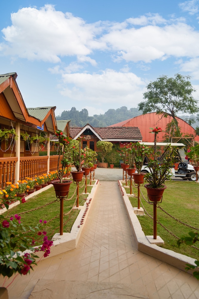 GREEN WOOD RESORT 43/50