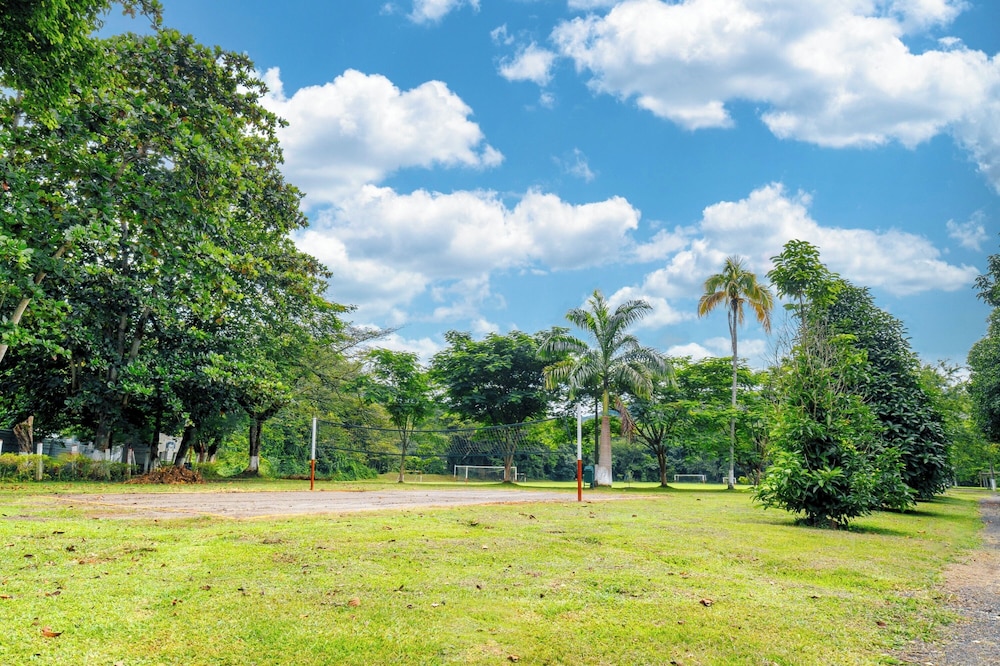 hotel las palmeras 43/50