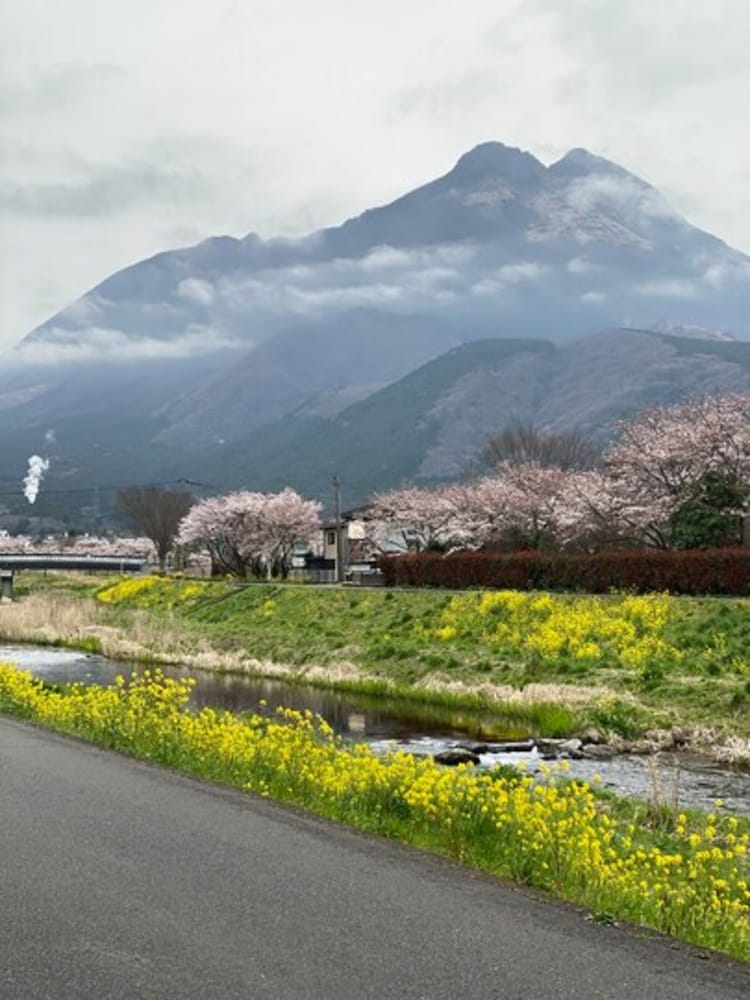 Yufuin Ryoan Wazanho 43/49