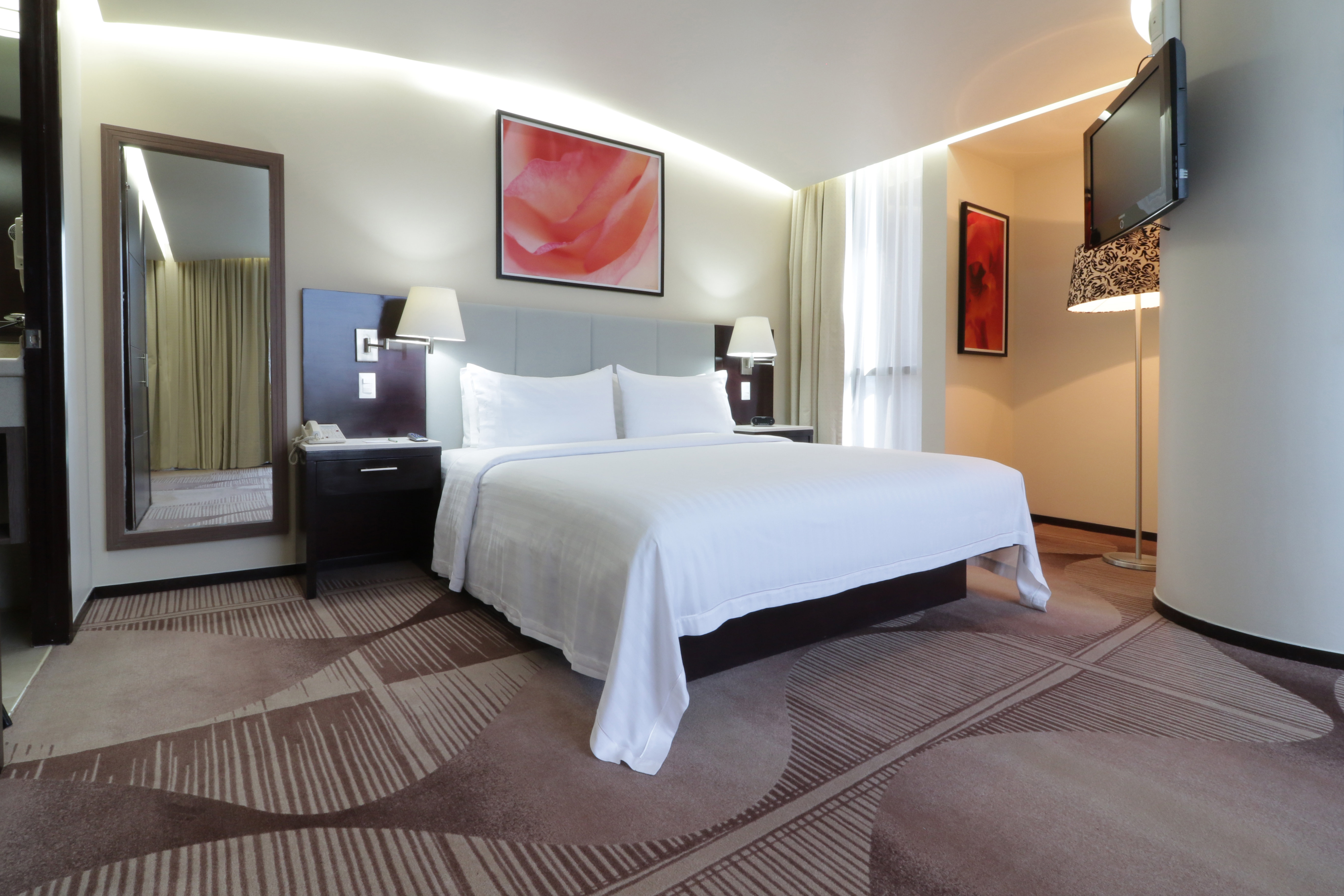 Holiday Inn Hotel And Suites Medica Sur 14/35