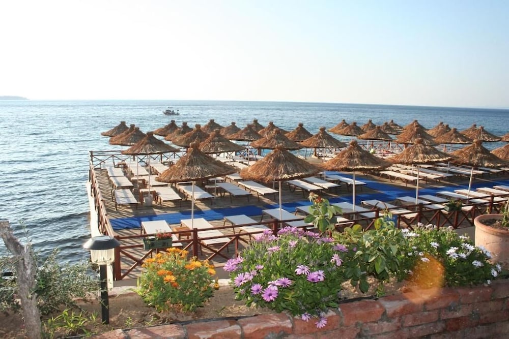 Tas Hotel 17 37/50