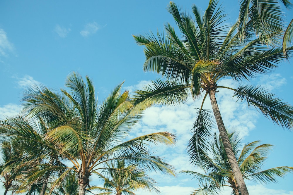 Nomads Magnetic Island - Adults only 45/50