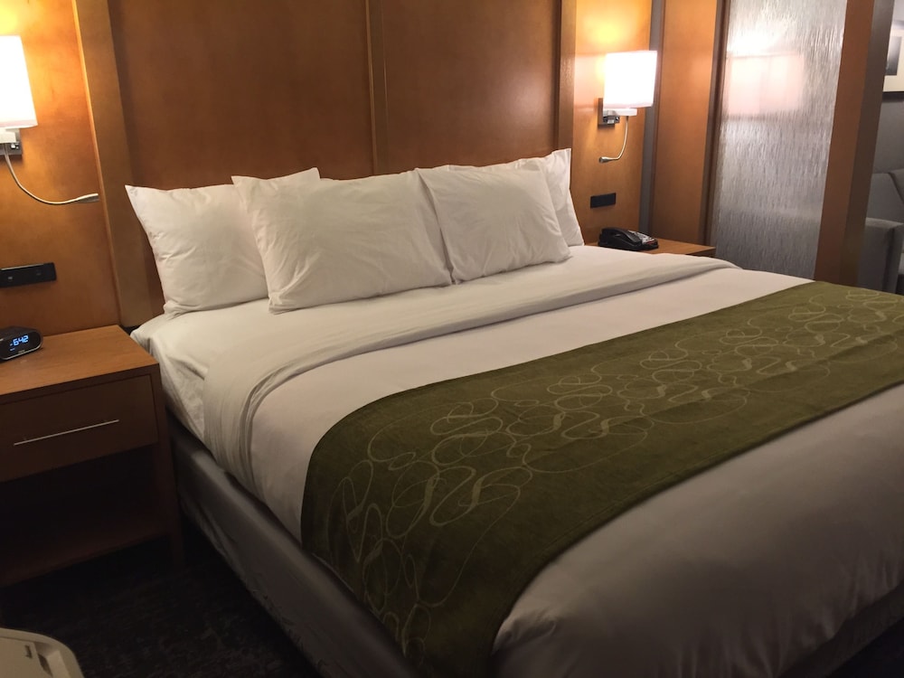 Comfort Suites North Charleston - Ashley Phosphate 15/32
