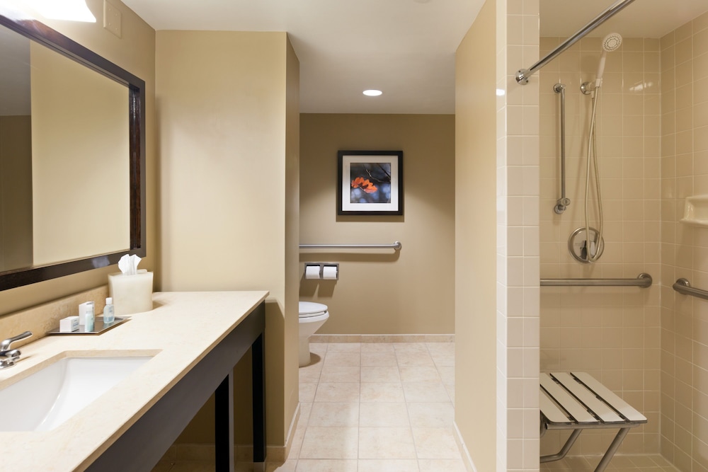 Crowne Plaza Cleveland At Playhouse Square An Ihg Hotel 16/77