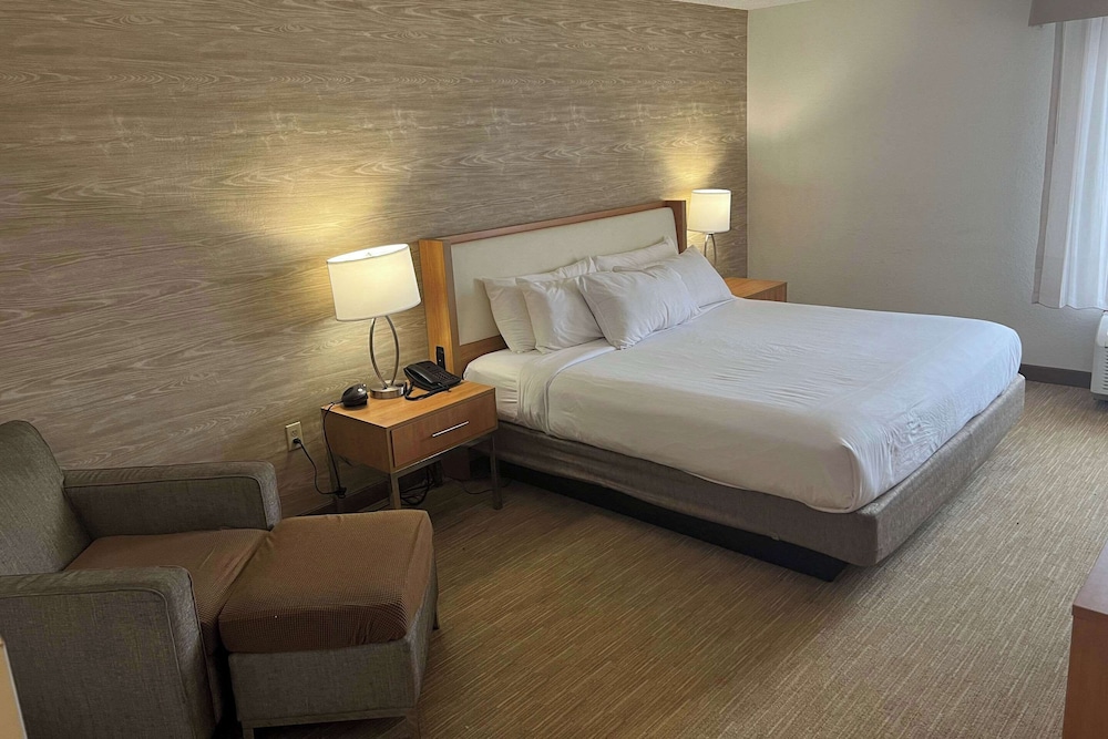 ROOM, KING BED, ACCESSIBLE