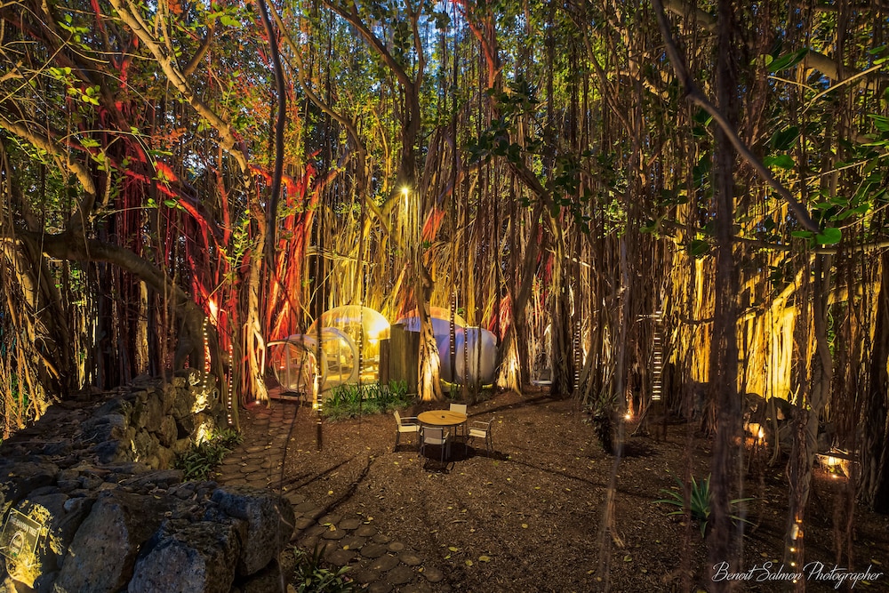 Bubble Lodge Ile aux Cerfs 48/61
