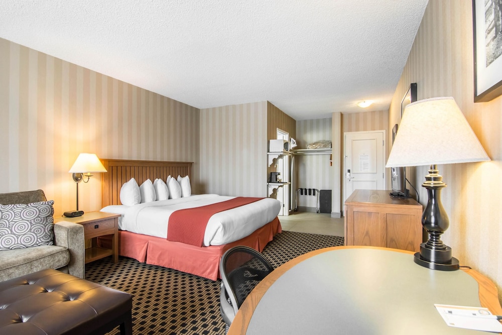 Quality Hotel Drumheller 17/40