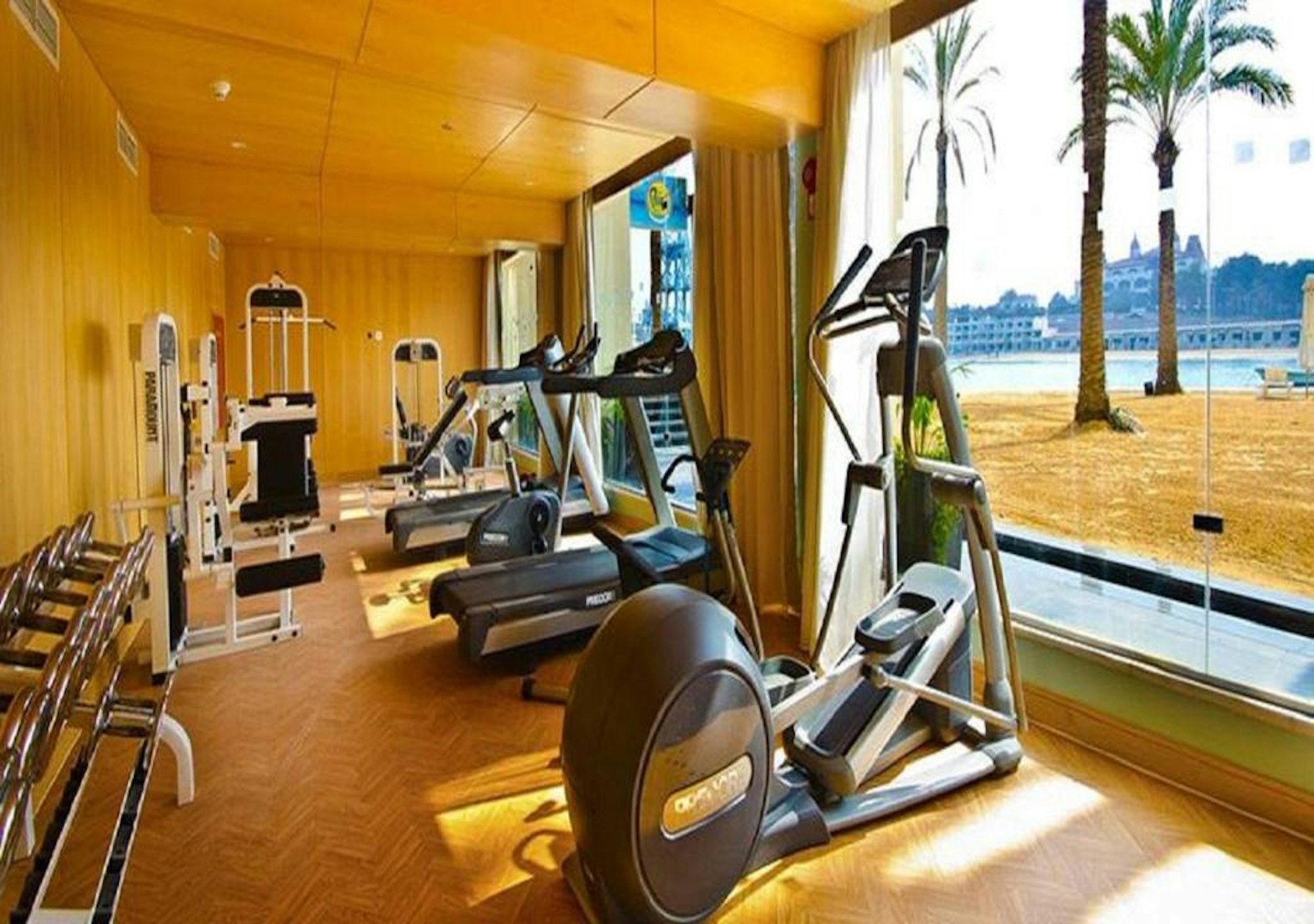 Helnan Palestine 26/49