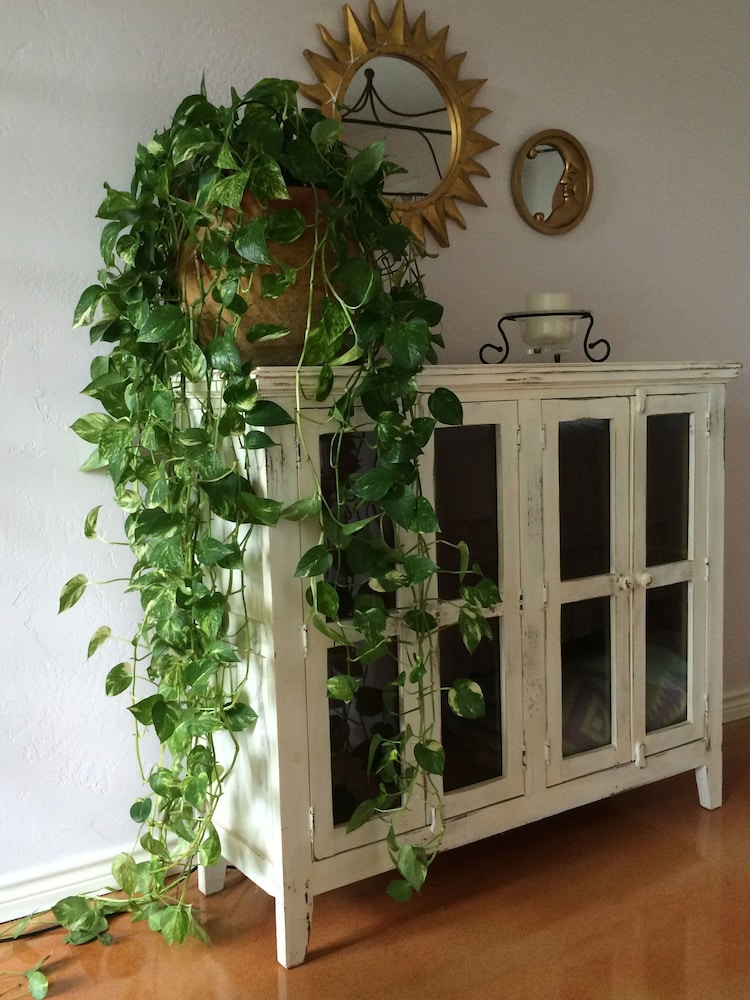 Casa Del Sol Bed And Breakfast 6/68