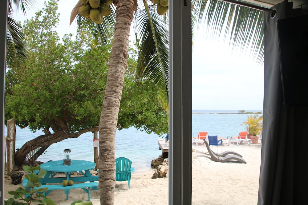 Coral Reef Beach Aruba 38/50