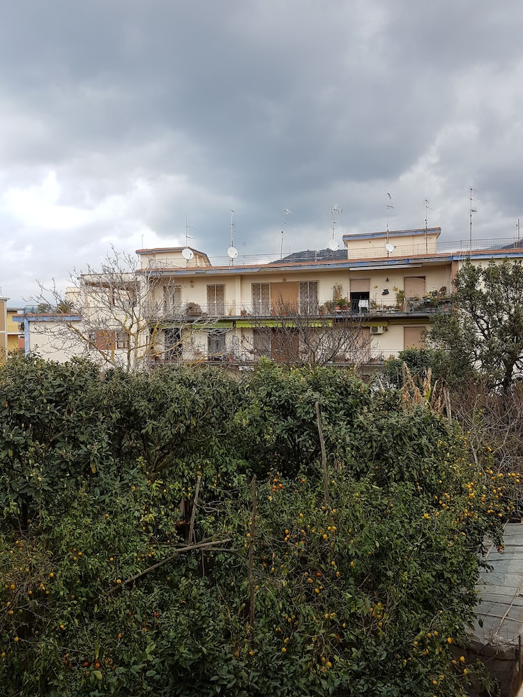surroundings