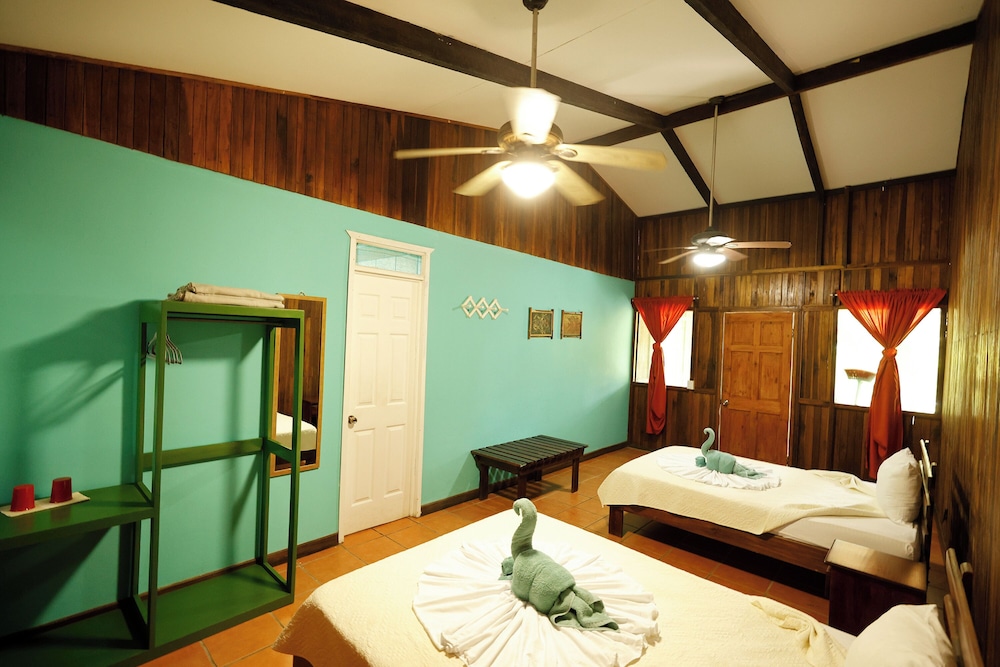 Turtle Beach Lodge 11/50