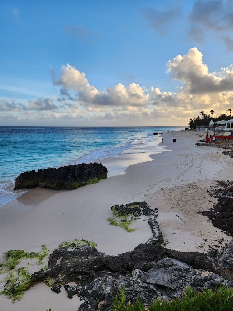Coco Reef Bermuda 57/62