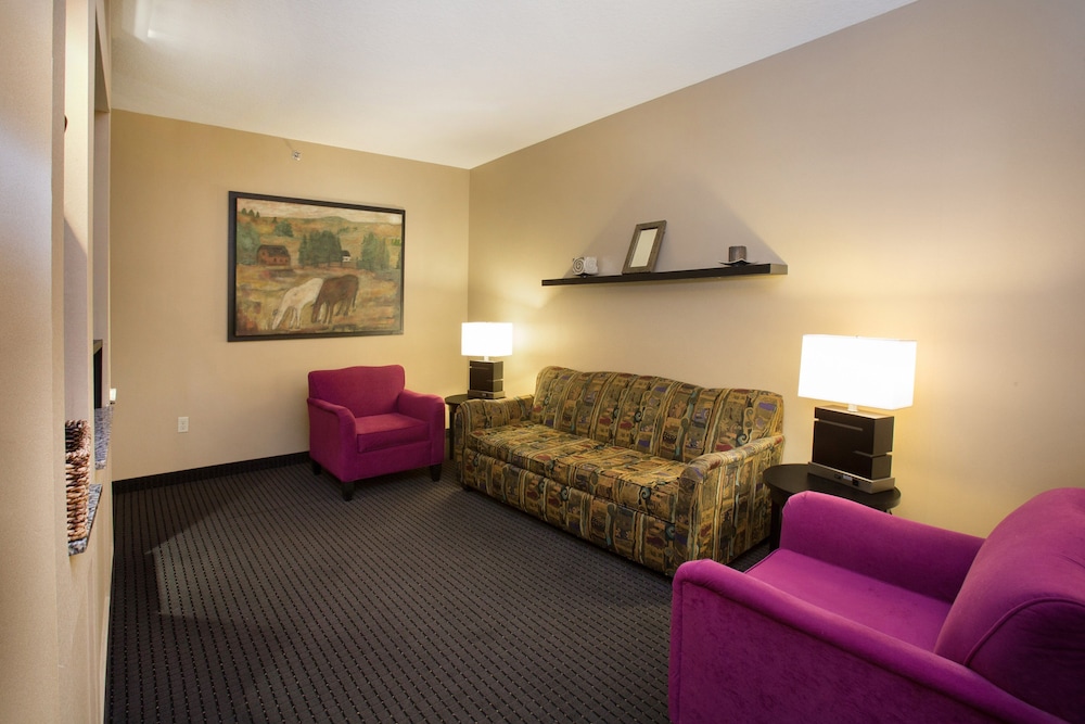 Holiday Inn Hotel Suites St Paul Ne Lake Elmo 47/80