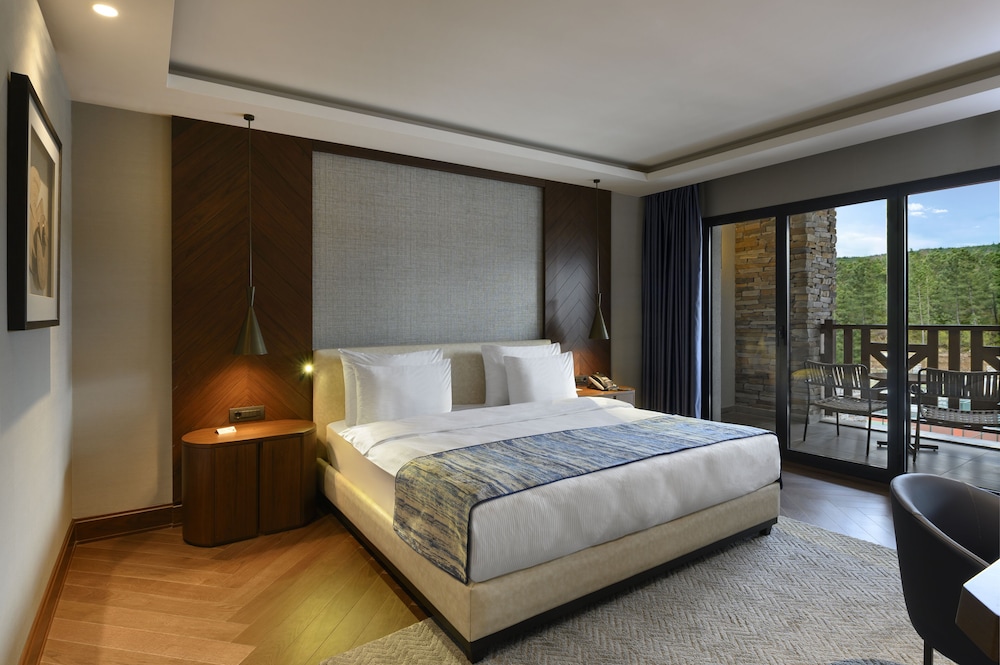 Elite World Grand Sapanca Hotel 6/50