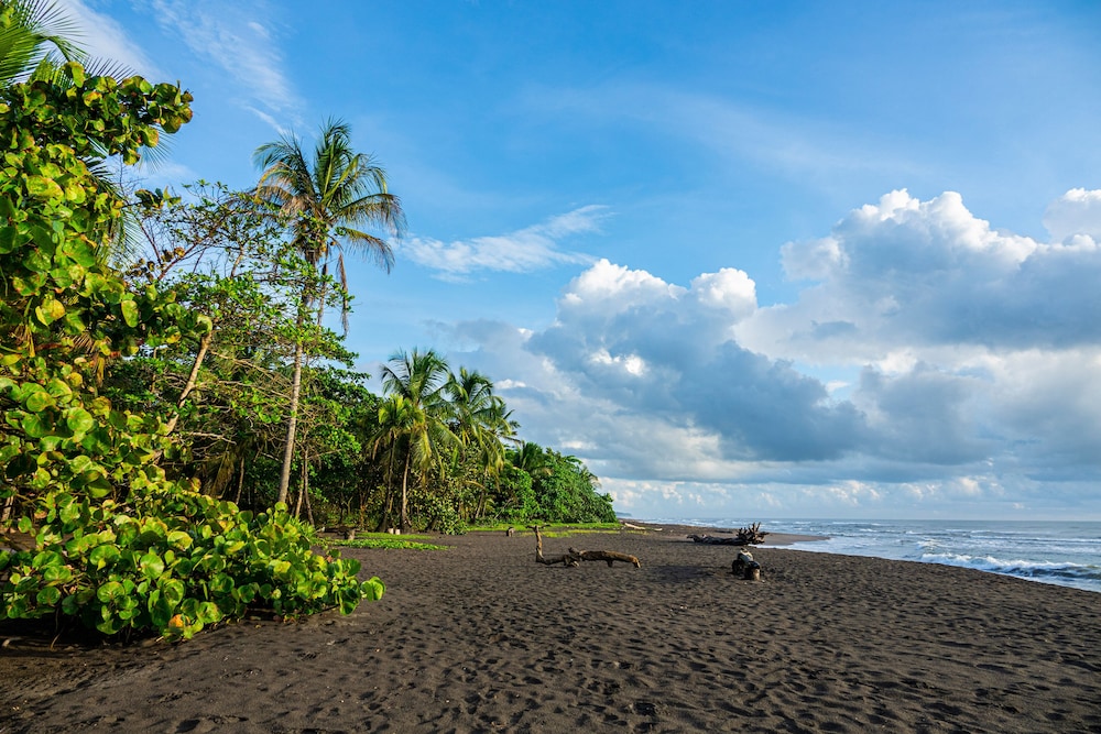 Laguna Lodge Tortuguero 53/67