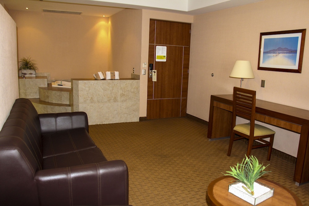 Hotel Soleil Business Class Celaya 6/49