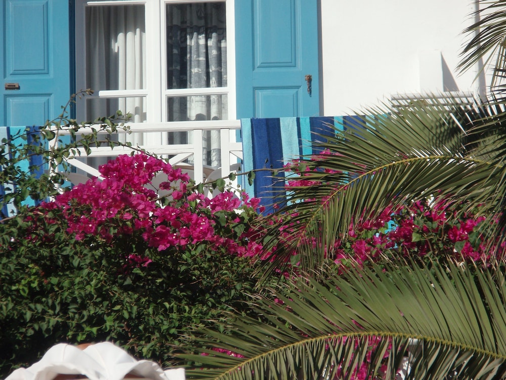 Hotel Matina 4/49