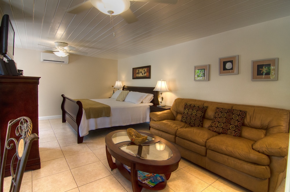 Grace Bay Beach Ocean Villas 27/50