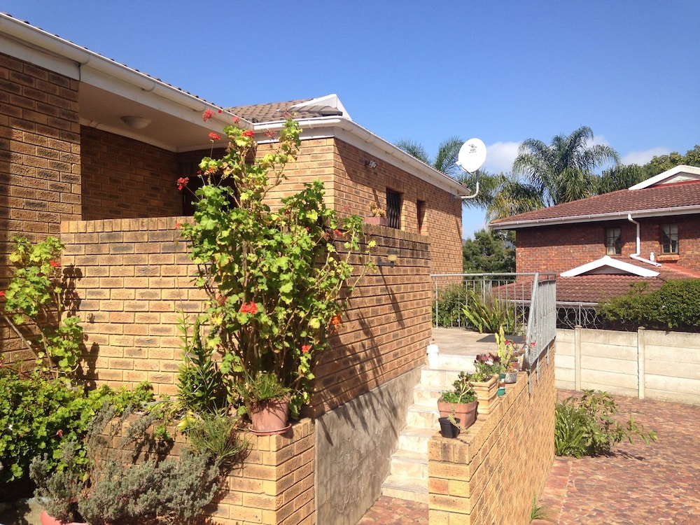 Blue Fern of Knysna 3/50