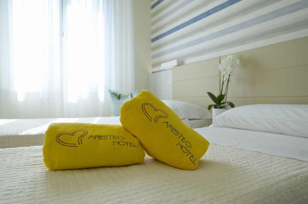 Hotel Aristeo photo3