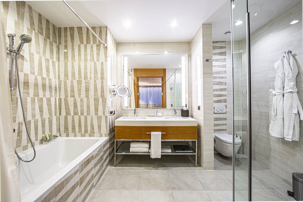 Holiday Inn Baku 21/59