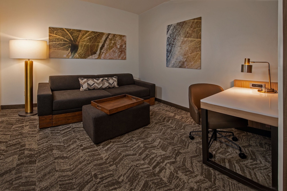 Springhill Suites Hagerstown 27/50