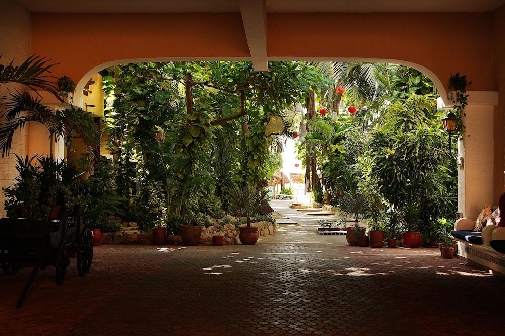 Hotel Colibri Beach 8/82