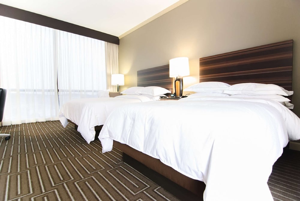 Hilton Charlotte University Place 14/66