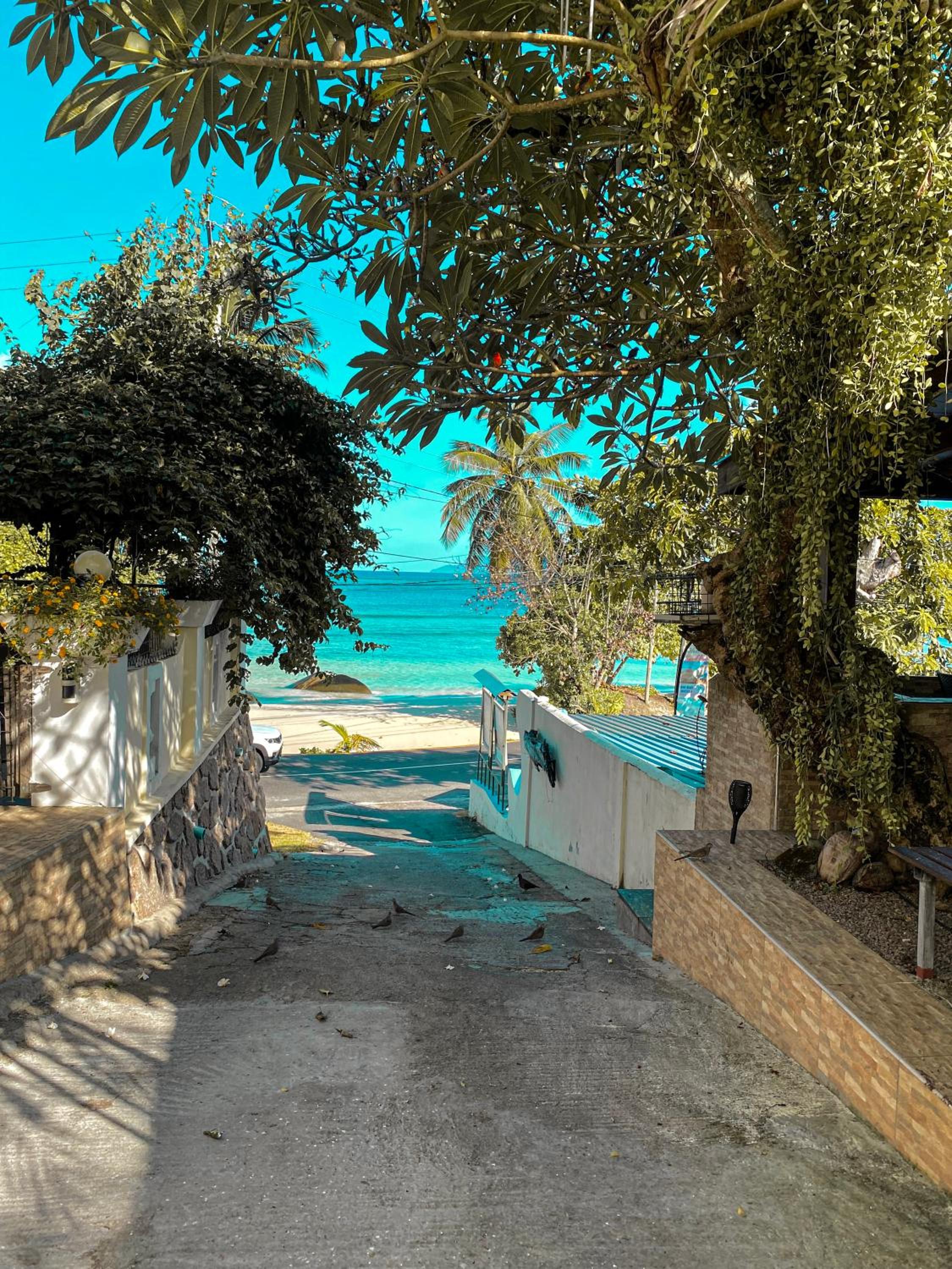 DIVERS LODGE 40/54