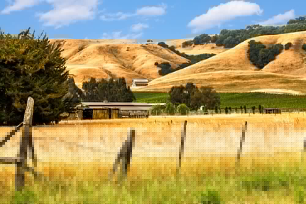 Hyatt Regency Sonoma Wine Country 62/65