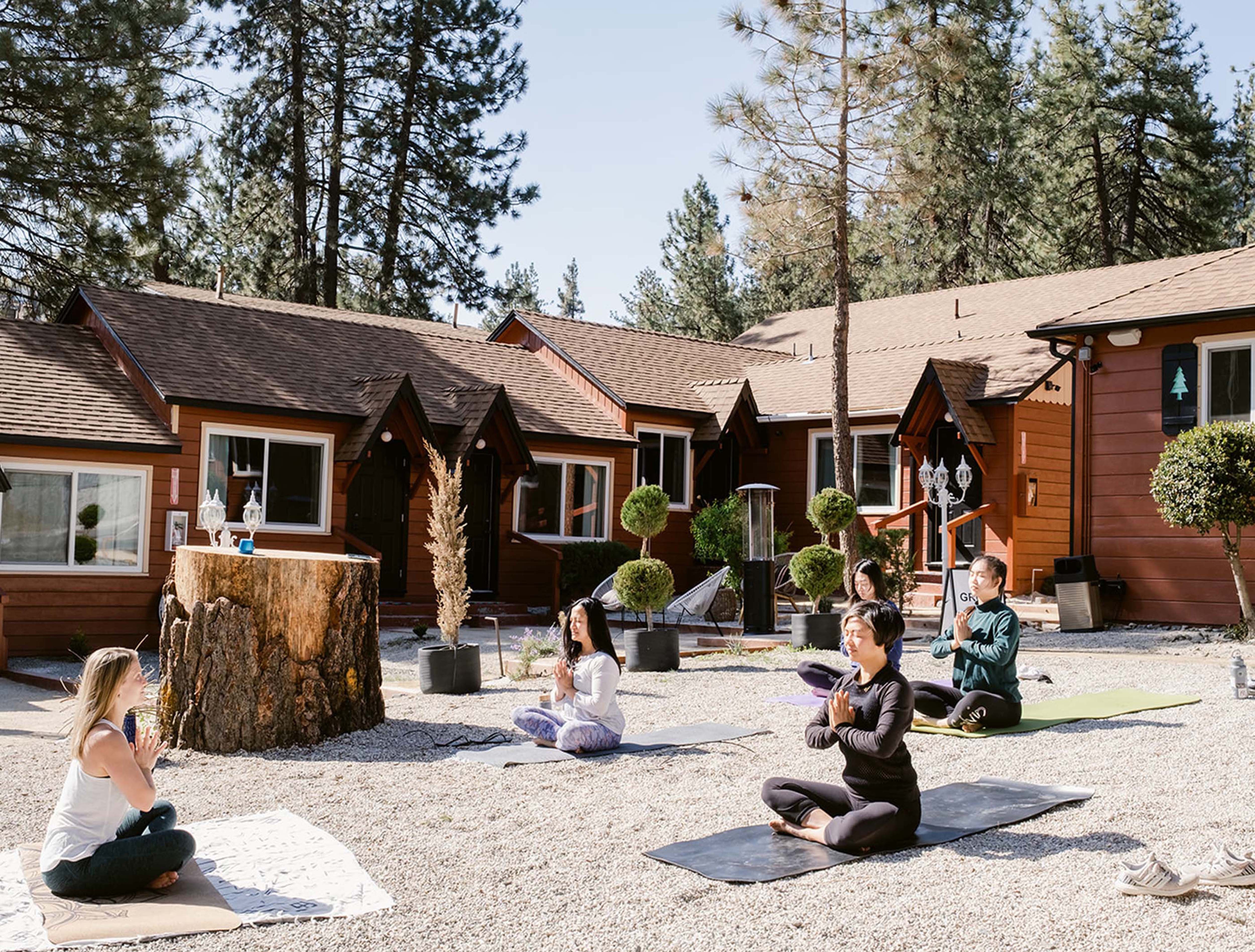 Grand Pine Cabins 40/43