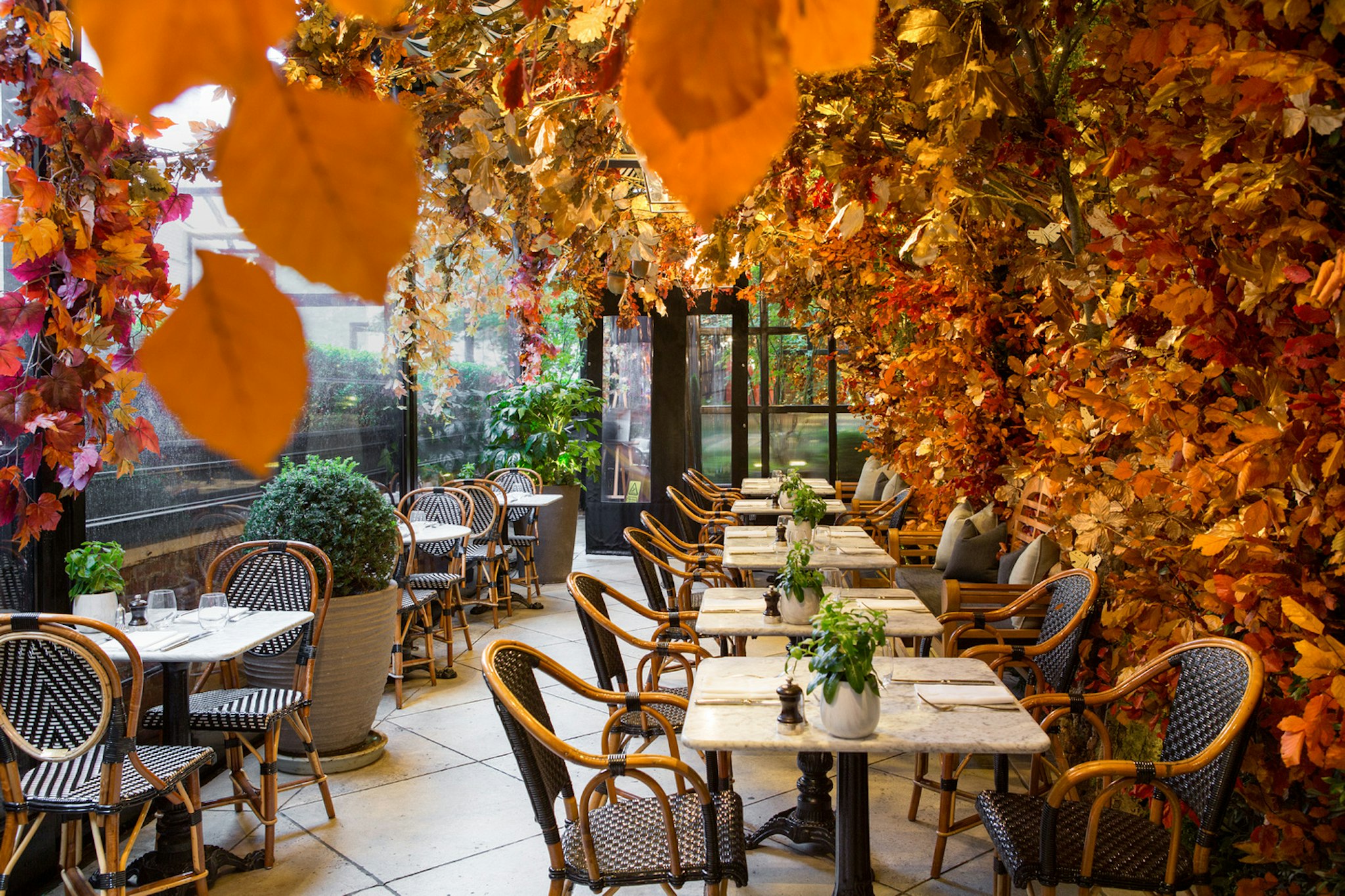 The Bloomsbury Hotel 39/46