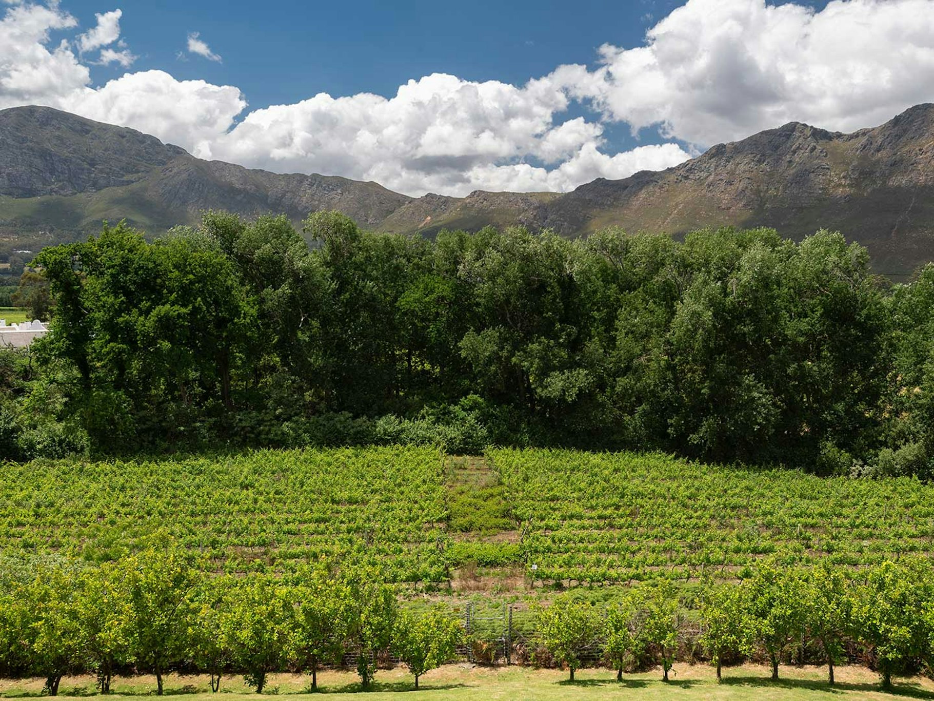 Le Franschhoek Hotel Spa 45/50
