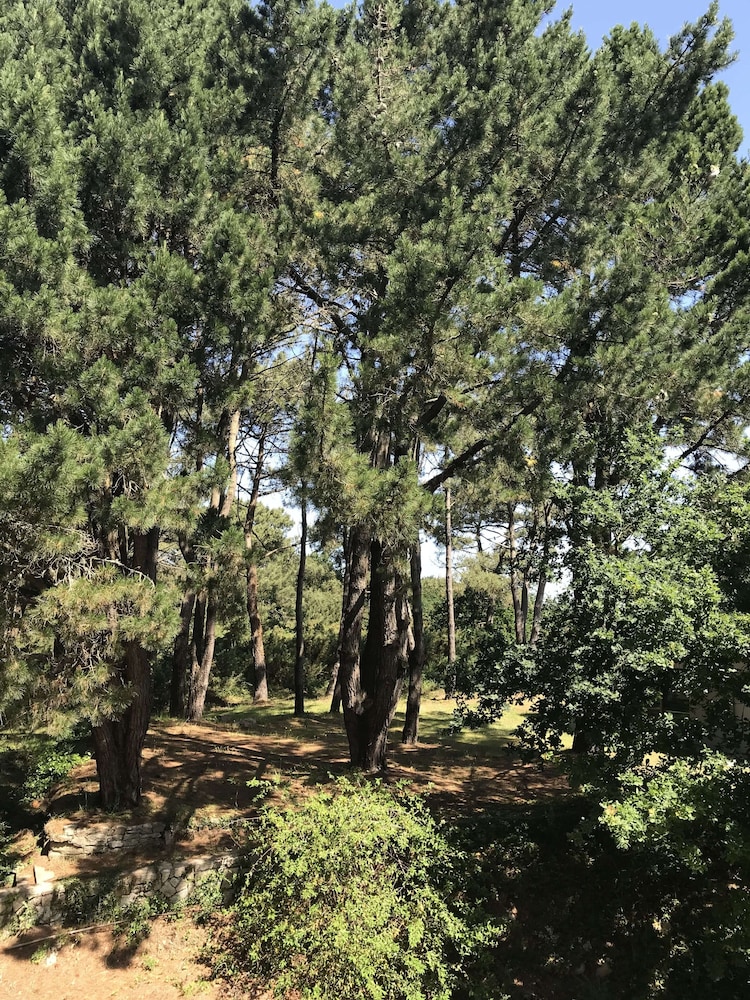 Le Galet Hotel & Spa 29/41