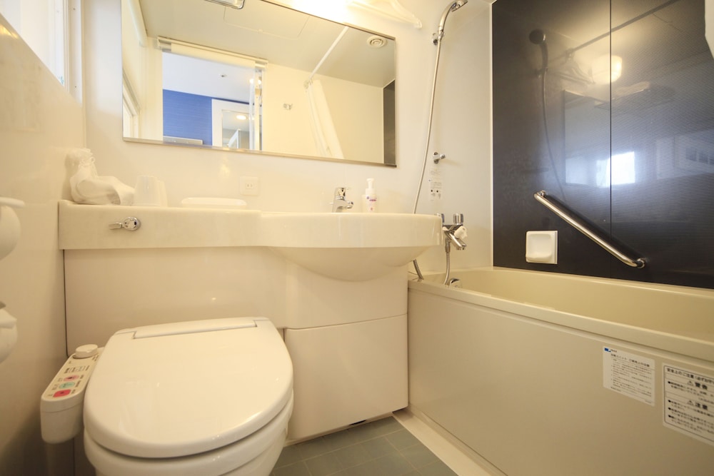 Sotetsu Fresa Inn Shimbashi Karasumoriguchi 18/46