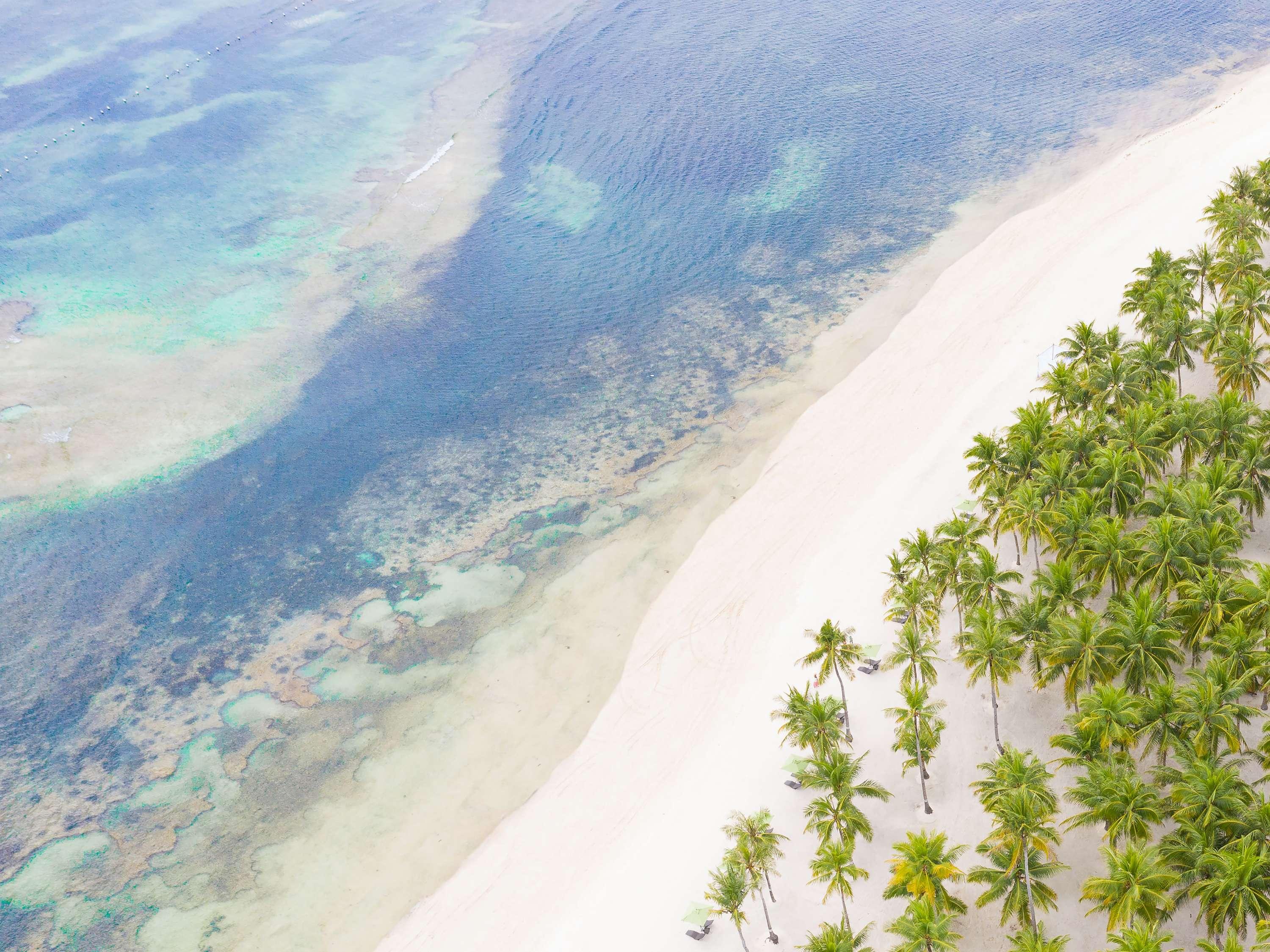 South Palms Resort and Spa Panglao - MGallery Collection 43/55