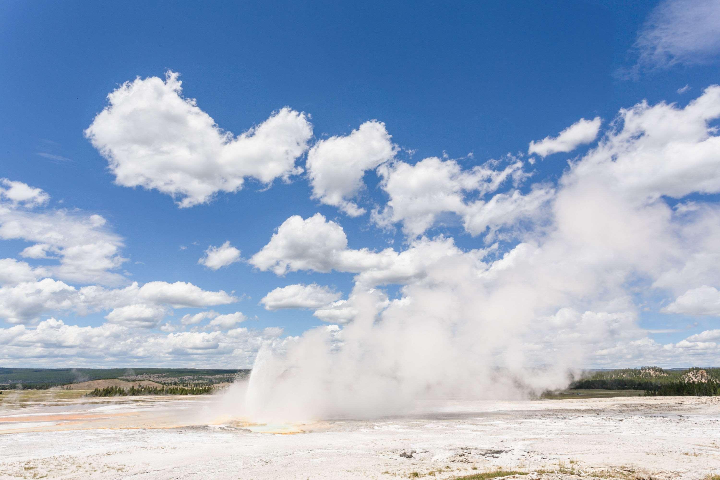 Super 8 Cooke City Yellowstone Park Area 13/13