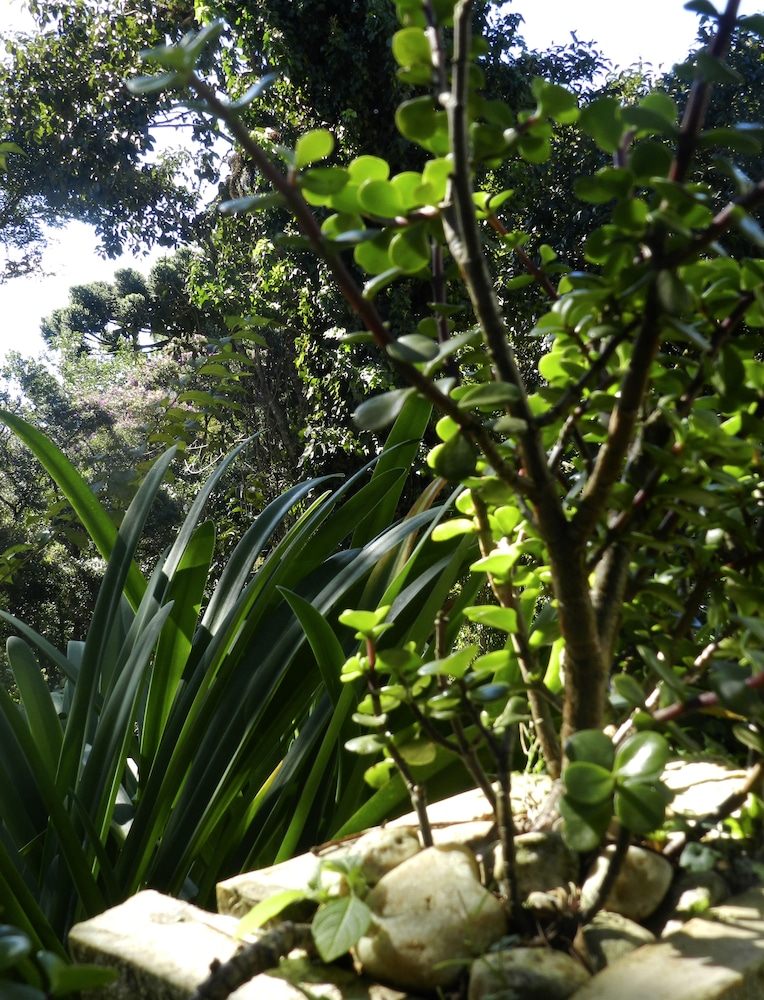 Recanto das Araucarias 61/65