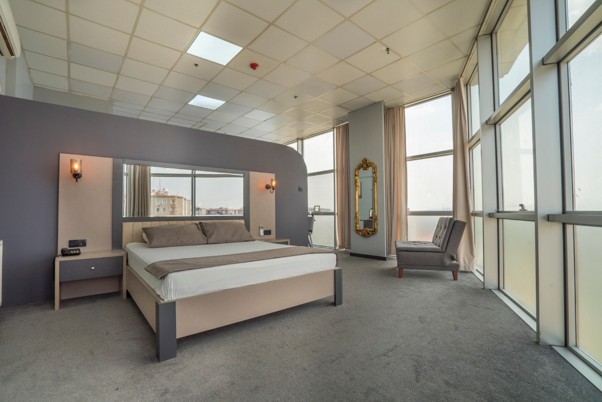 216 Palace Suite 5/19