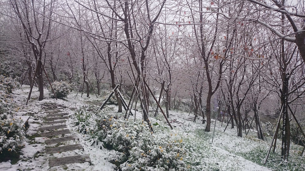 Liching Garden Villa 46/50