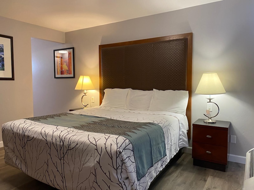 Colonial Motel 23/42