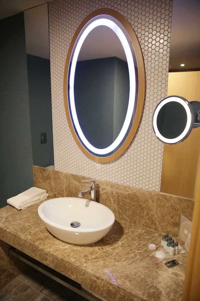 THE ANKARA HOTEL 26/65
