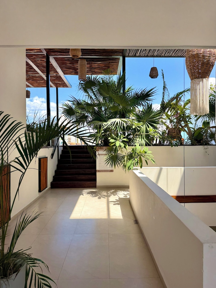 Ah Xok Suites 4/50
